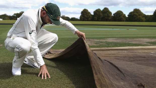 Will I get a bowl? Spinner Nathan Lyon inspects the pitch at Hagley Oval.