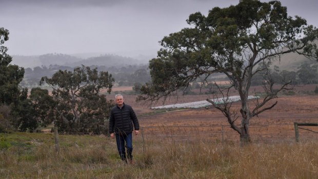 Campaigner Trevor Dance in front of land in Sunbury slated for new housing.