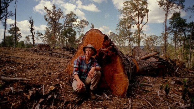 Jill Redwood surveys deforestation in the region of the Errinundra National Park in 1999.