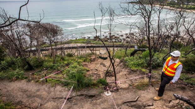 Peter Rodrigues inspects the unstable hillside at Wye River.  