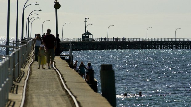 The shark was spotted today near the Busselton Jetty.