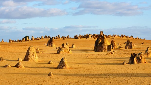 Pinnacles Desert in Nambung National Park, Western Australia.