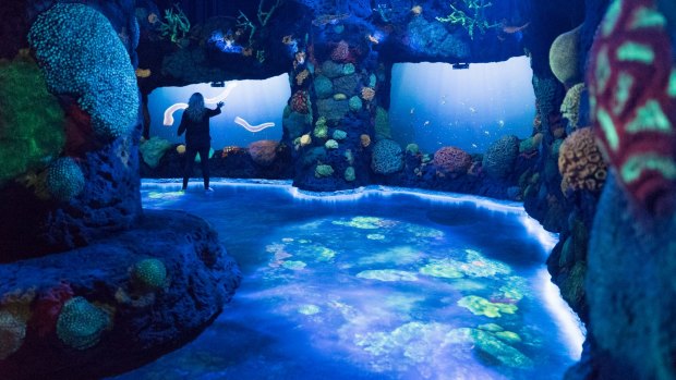National Geographic Encounter: Ocean Odyssey.