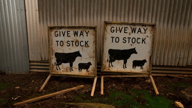 Rabobank's latest survey shows confidence has surged among livestock producers.