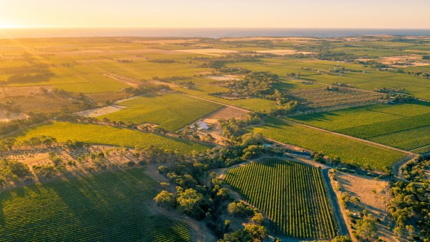 Vines to sea in McLaren Vale, South Australia.