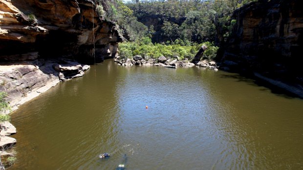 A woman died after falling off a cliff during a camping trip at Mermaid Pools near Tahmoor.