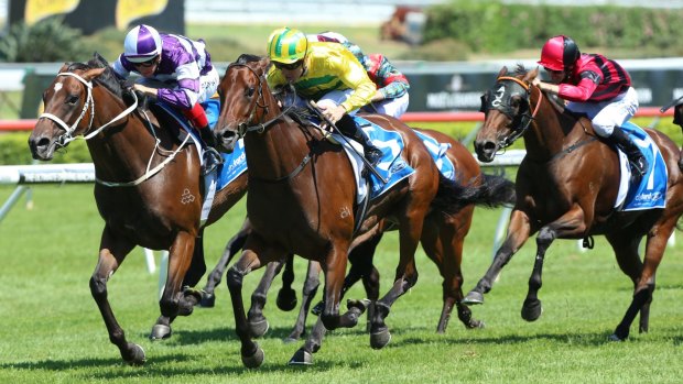 Sky's the limit: Heavens Above (yellow and green) wins the Aspiration Quality at Randwick.