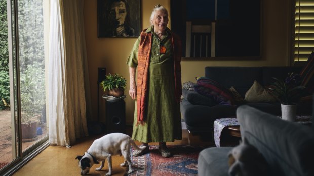  Barbara Blackman at home with her dog, Jack, in Yarralumla in Canberra. 

