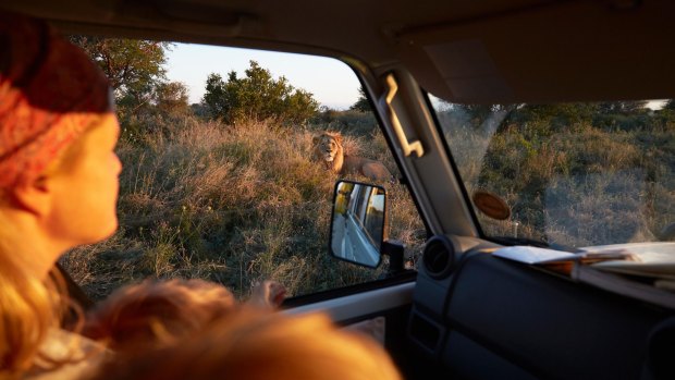 A drive through unfamiliar terrain surrounded by wild animals: The Kalahari Desert, Africa