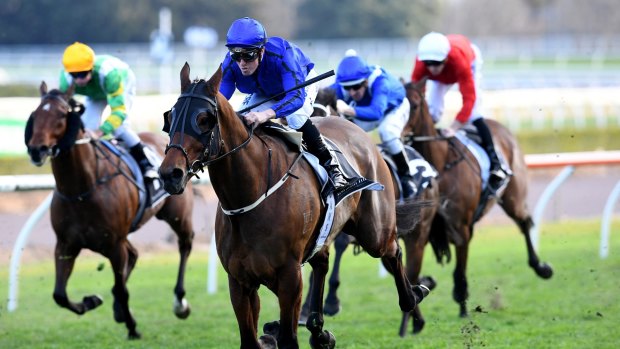 Red-hot: Happy Clapper is a hot favourite for the Winx-less Craven Plate.
