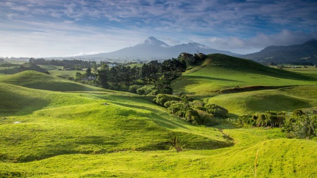 The rolling hills of Egmont National Park, with Mount Taranaki behind.