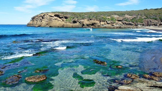 The scenic Caves Beach to Pinny Beach coastal walk. 