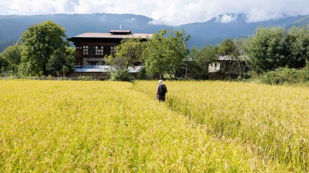 The Trans Bhutan Trail passes through fields near Paro.