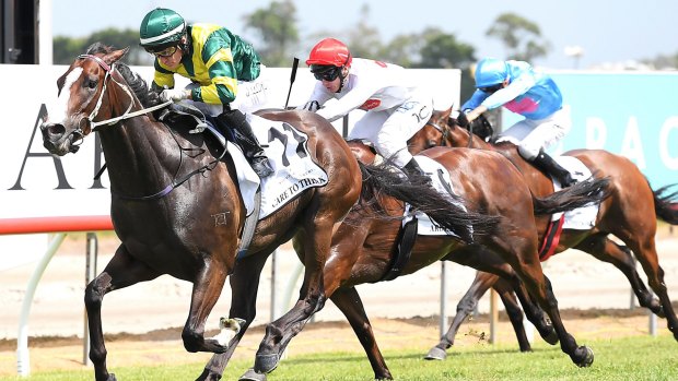 Easy does it: Jeff Lloyd rides Care To Think to victory in the Magic Millions Cup.
