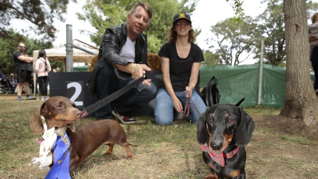 Clinton Menegazzo, of Kingston, with his dog Jazz and Dianne Walton-Sonda, of Queanbeyan, with her dog Mr Jangles, who both made the finals of the Werriwa Wiener Dash race.