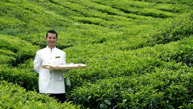 Butler service in the tea plantations at Cameron Highlands Resort.