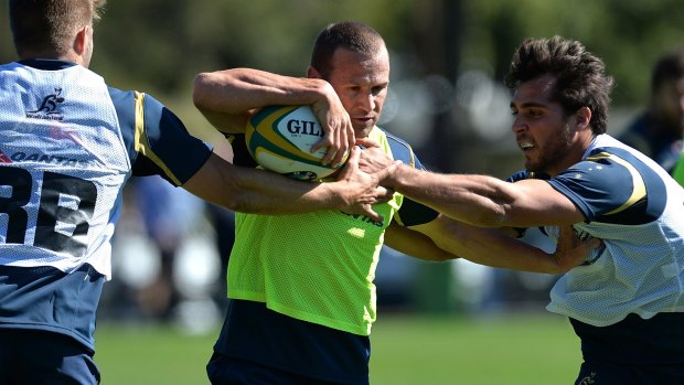 Invaluable: Matt Giteau has drawn praise from Israel Folau for his knowledge and experience. 