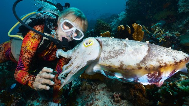 Up close with a cuttlefish.