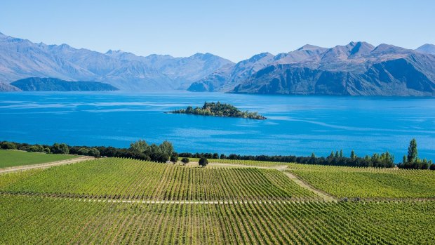 Rippon is one of the prettiest vineyards you'll ever see.