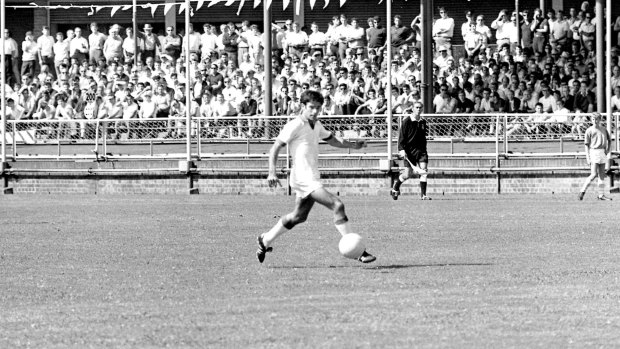 Gone but not forgotten: Johnny Warren turns out for St George at Wentworth Park in 1970.