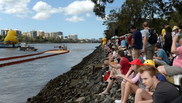 Crowds flock to the banks of the Brisbane River to watch the country's largest duck race.