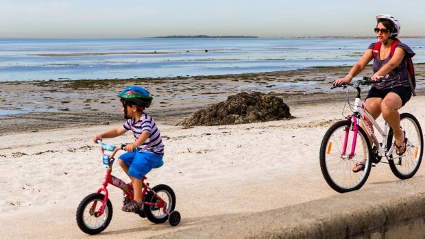 Smelly seaweed piled up at Altona Beach is possibly to blame for Melbourne's odour issues.
