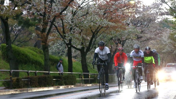 Cherry blossoms: the PM rides with Japanese Cycling Federation members in Tokyo. 