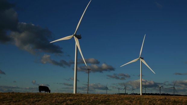 Ninety-two turbines will soon be built now the Rye Park Wind Farm near Boorowa has been approved. 