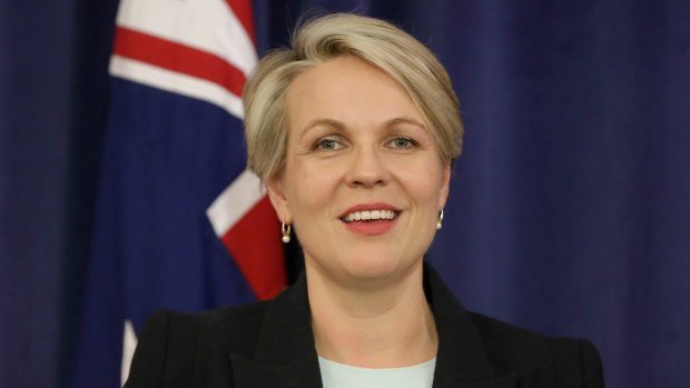 Deputy Labor leader Tanya Plibersek.