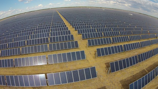 The Moree solar farm in NSW, one of many now operating, under construction or in the pipeline.