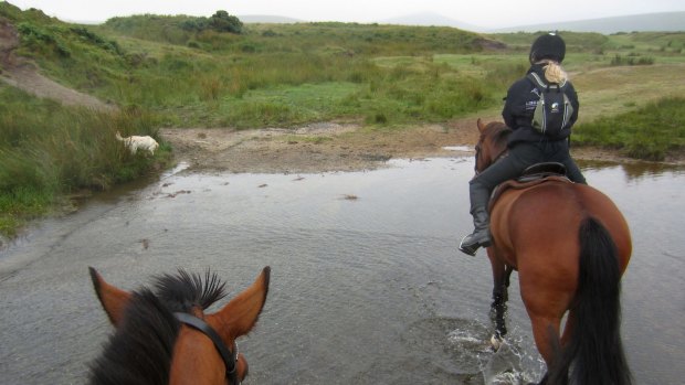 Dartmoor by horseback.