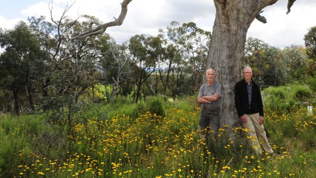  From left, Red Hill Regenerator Paul Ratcliffe and Stirling Park volunteer co-ordinator Peter McGhie. 