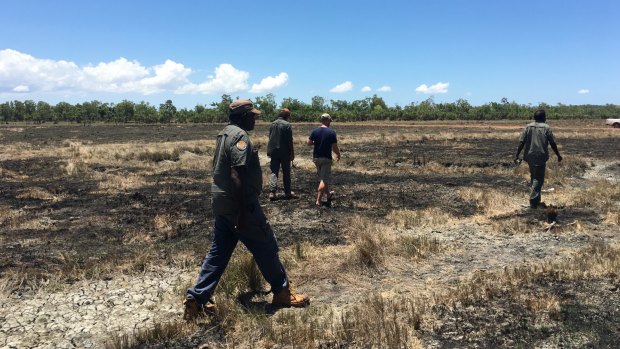 Rangers crossing some savannah land burned during the recent dry season in Arafura Swamp.