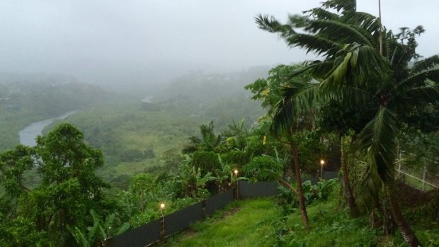 Trees blow in the heavy wind ahead of Cyclone Winston's landfall.