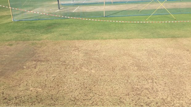 The pitch at Maharashtra Cricket Association Stadium, where Australia will play India in the first Test.