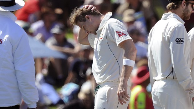Steve Smith holds his head after being hit on the helmet by a ball from New Zealand's Neil Wagner on the second day of the Test at Hagley Park Oval, in Christchurch.