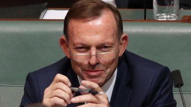 Tony Abbott Abbott is running a government-in-parallel, or a sort of opposition in exile.