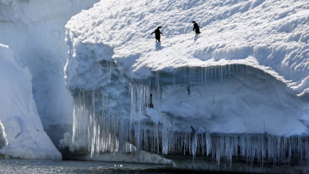 On the last census, at least a dozen Australians said they were born in the Antarctic.  