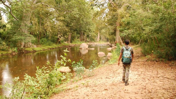 Trekking at Chinnar National Park. 