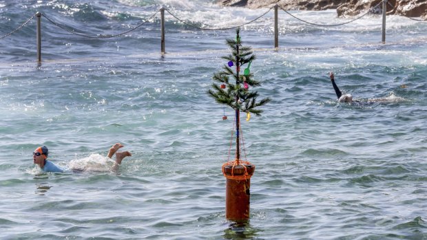 Swimmers at Wylies Baths in Coogee on Christmas Day.
