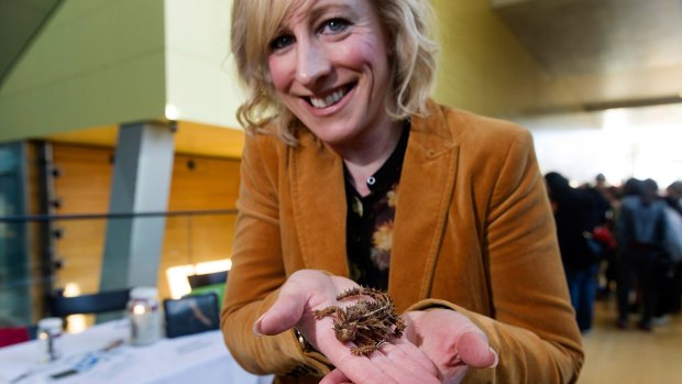 Catherine Andrews, wife of Victorian Premier Daniel Andrews, holds a Thorny Devil at Science On Show, Melbourne Museum.