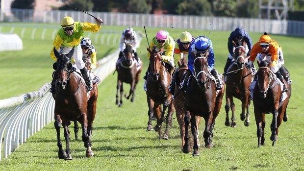 Blowing them away: Tye Angland and Gust Of Wind take out the Australian Oaks at Randwick.