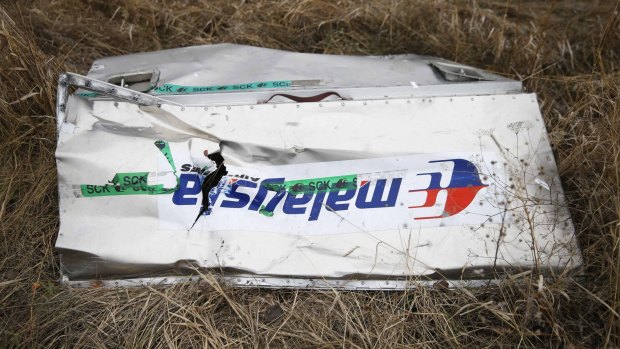 Wreckage of the downed Malaysia Airlines Flight MH17 remains scattered over the countryside in the Donetsk region of Ukraine.