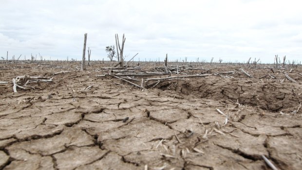 Drought conditions in the lower Murray-Darling Basin during the Millennial Drought