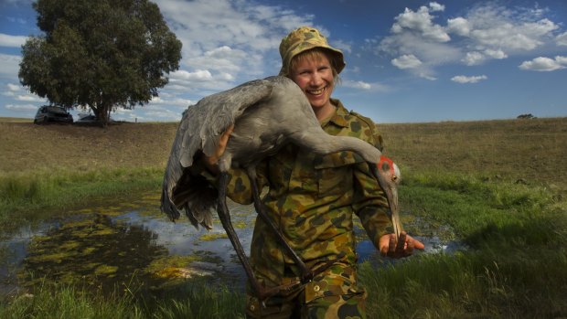 Decked out in camouflage gear, Inka Veltheim holds one of the taxidermied brolgas. 