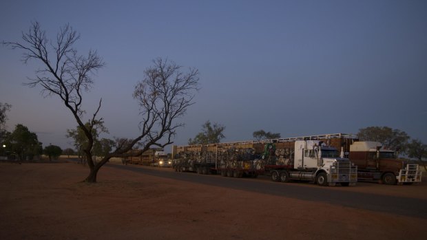 50-metre-long road trains are a feature of the Stuart Highway.
