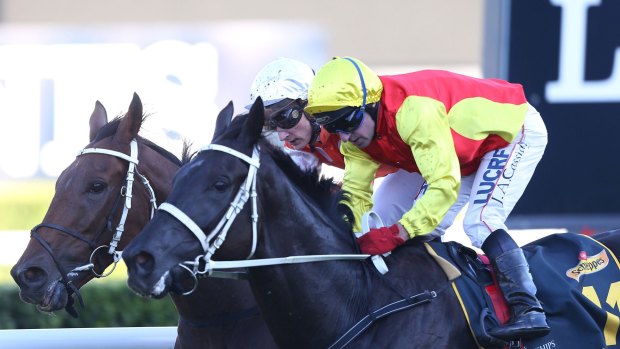 Dash for cash: Grand Marshal takes out the 2015 Sydney Cup