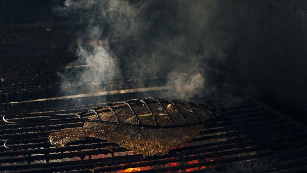 Grilled turbot in Spain: Simple food is the best food.