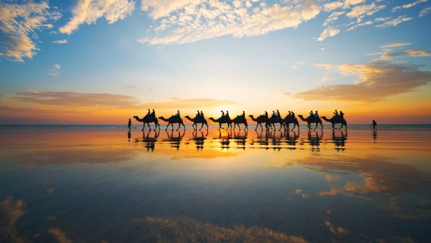 Camels at sunset on Cable Beach, Broome. 