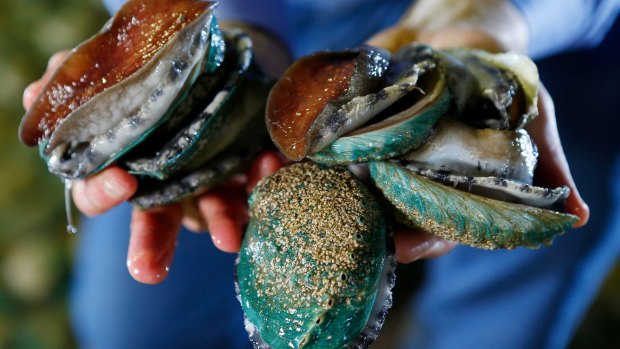 Poached abalone can be bought for about $55/kg in Victoria, whereas the commercial price is about $130/kg.